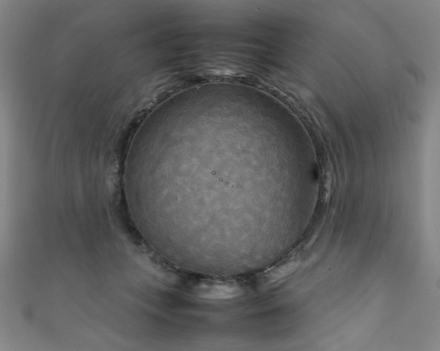 X0000111860559200907231454