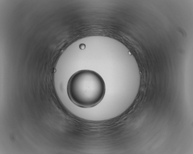 X0000111860560200907231454