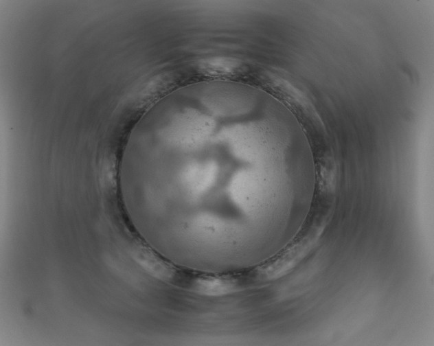X0000111860561200907231454