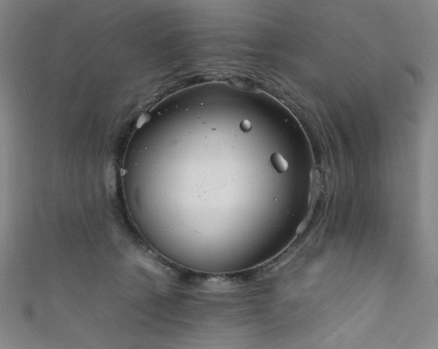 X0000111860562200907231454
