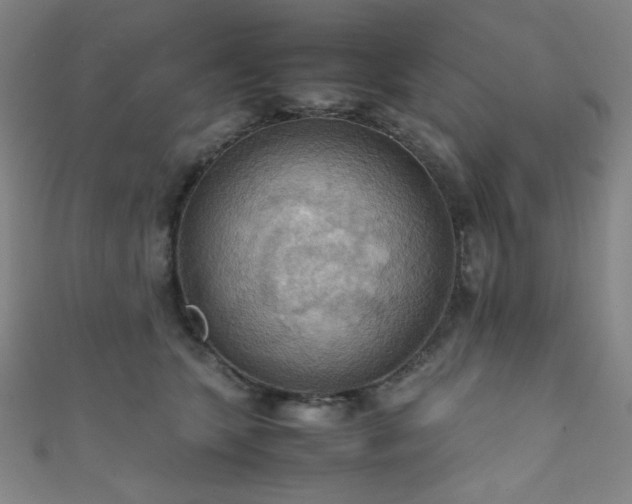 X0000111860563200907231454