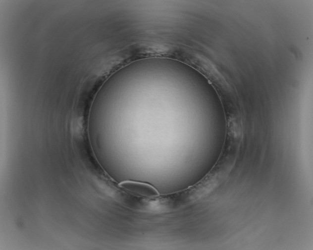 X0000111860564200907231454