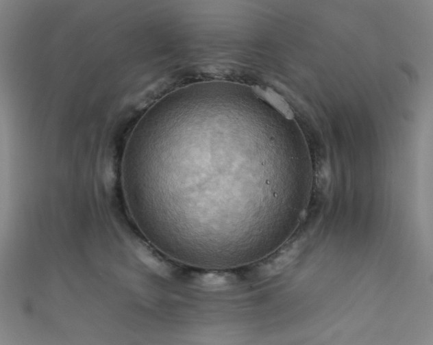 X0000111860566200907231454