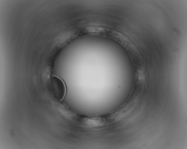 X0000111860567200907231454