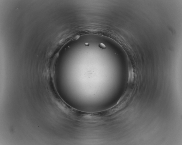 X0000111860568200907231454