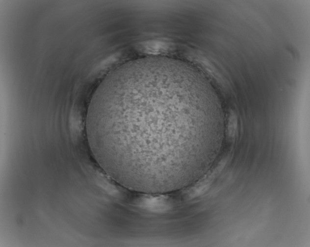 X0000111860569200907231454