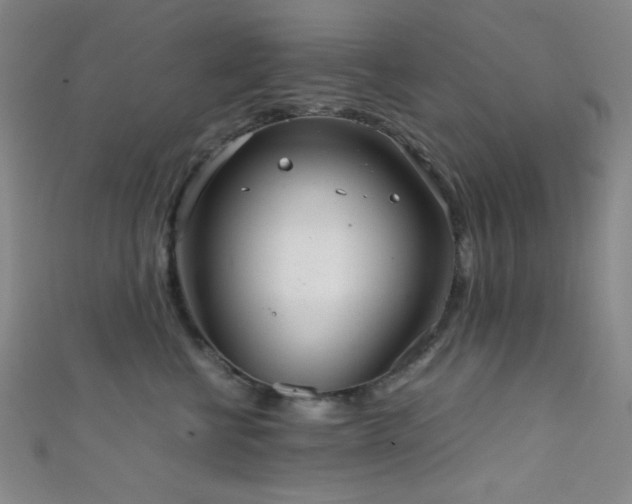 X0000111860570200907231454