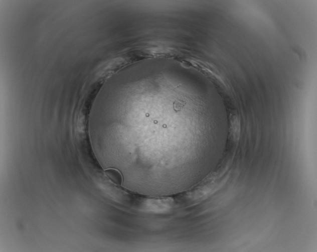 X0000111860571200907231454