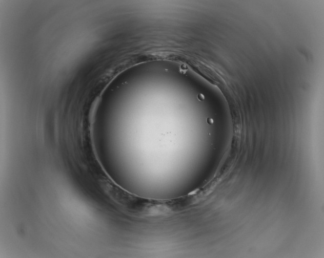 X0000111860572200907231454