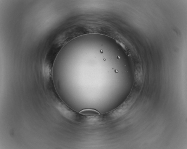 X0000111860574200907231454