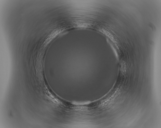 X0000111860577200907231454