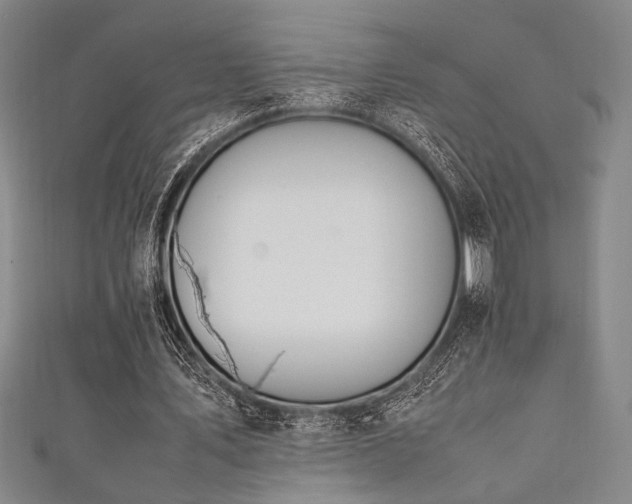 X0000111860579200907231454