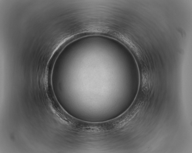 X0000111860580200907231454