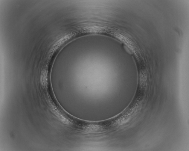 X0000111860581200907231454