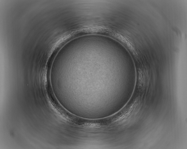 X0000111860582200907231454
