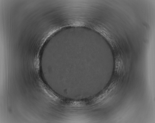 X0000111860584200907231454