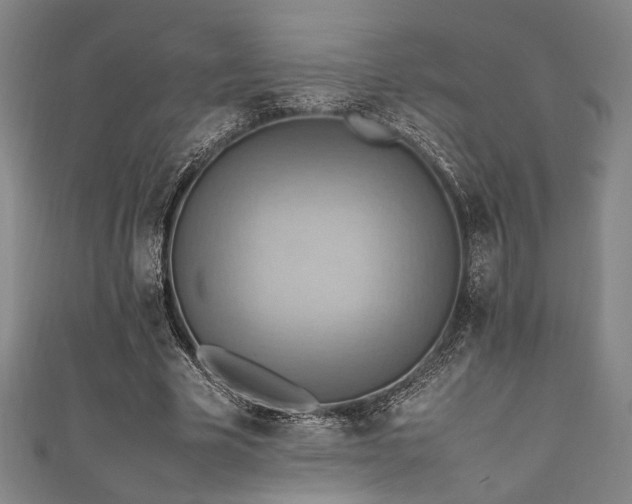 X0000111860585200907231454