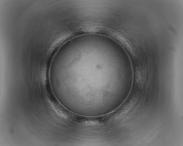 X0000111860586200907231454