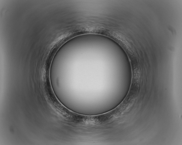 X0000111860587200907231454