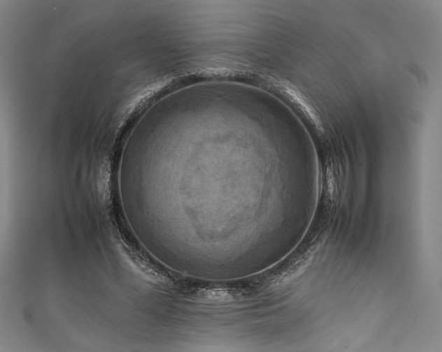 X0000111860588200907231454