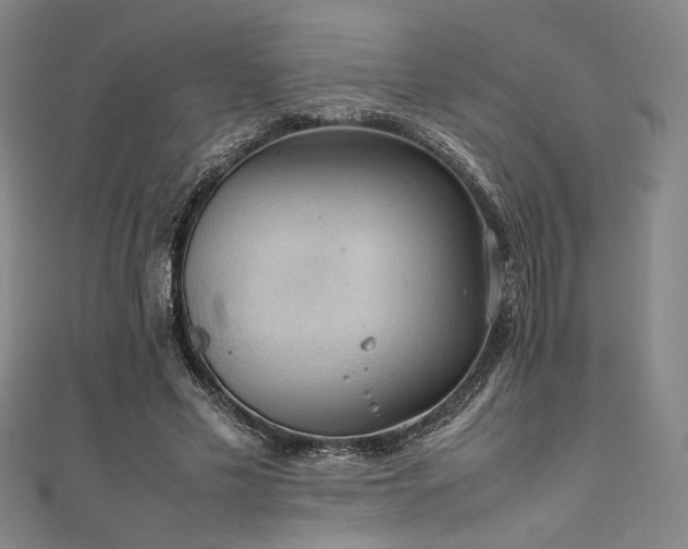 X0000111860589200907231453