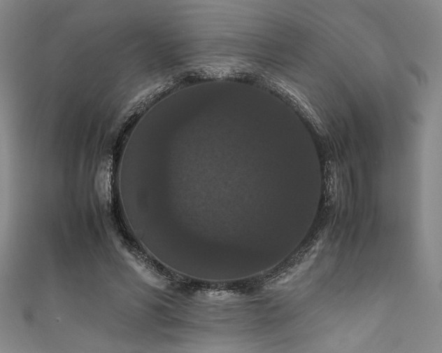 X0000111860590200907231453