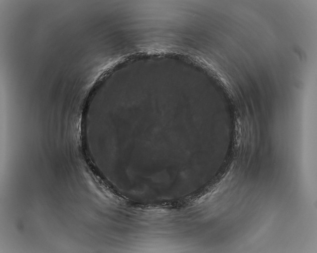 X0000111860592200907231453