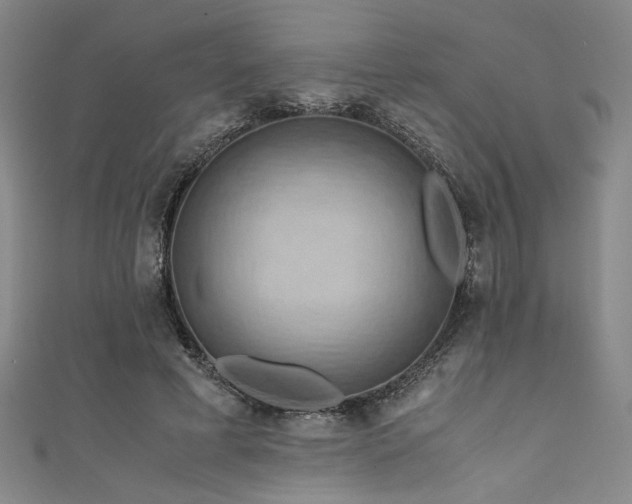 X0000111860593200907231453