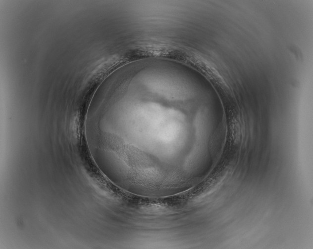 X0000111860594200907231453