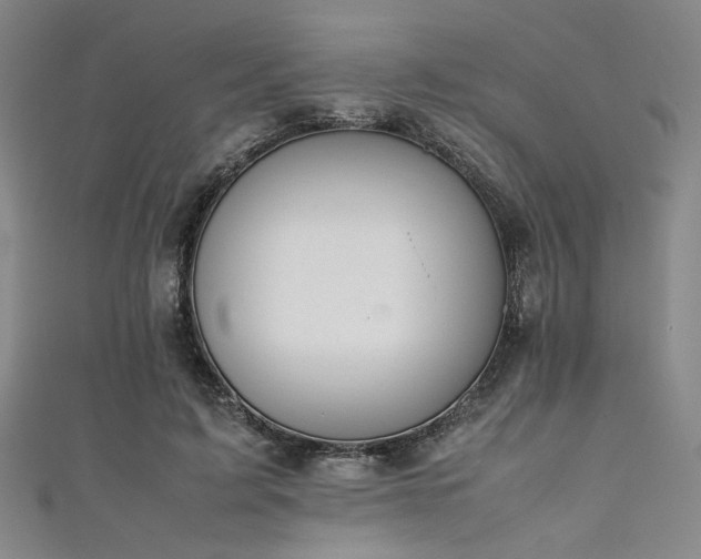 X0000111860595200907231453