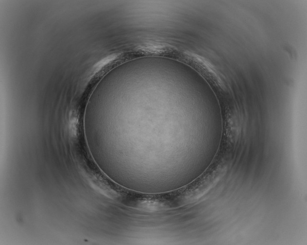 X0000111860596200907231453