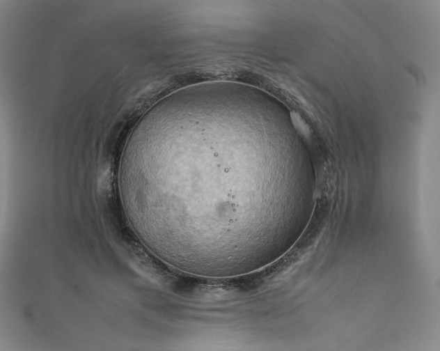 X0000111860597200907231453