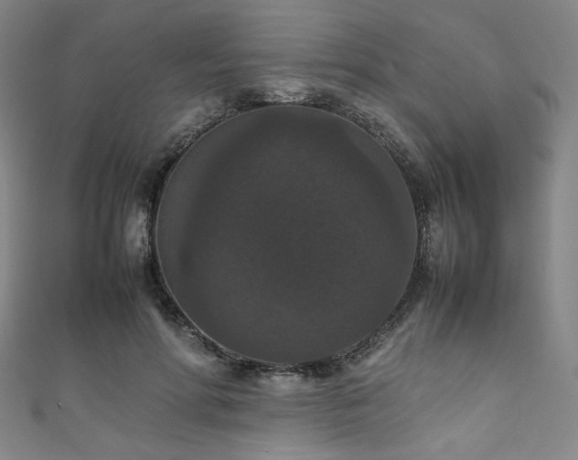 X0000111860598200907231453
