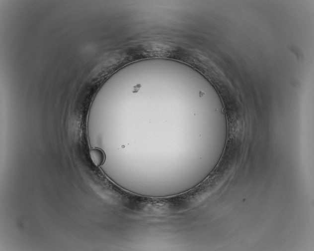 X0000111860599200907231453