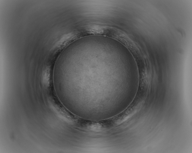 X0000111860600200907231453