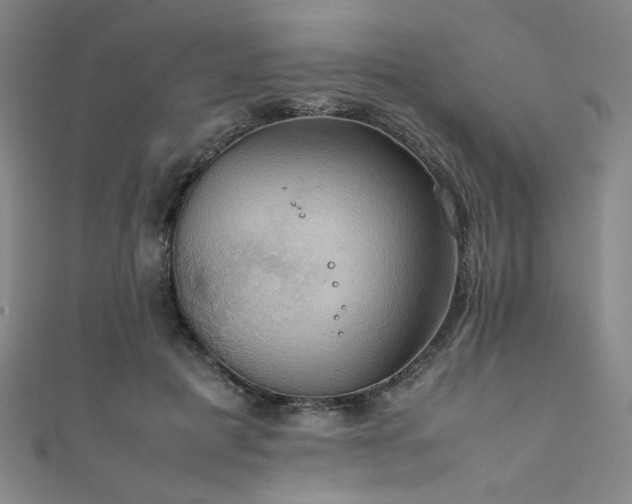 X0000111860601200907231453
