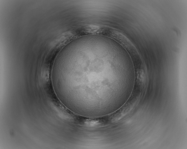 X0000111860602200907231453