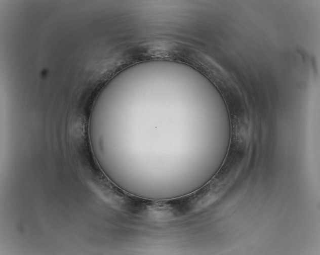 X0000111860603200907231453
