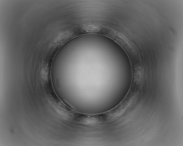 X0000111860604200907231453