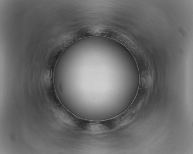X0000111860605200907231453
