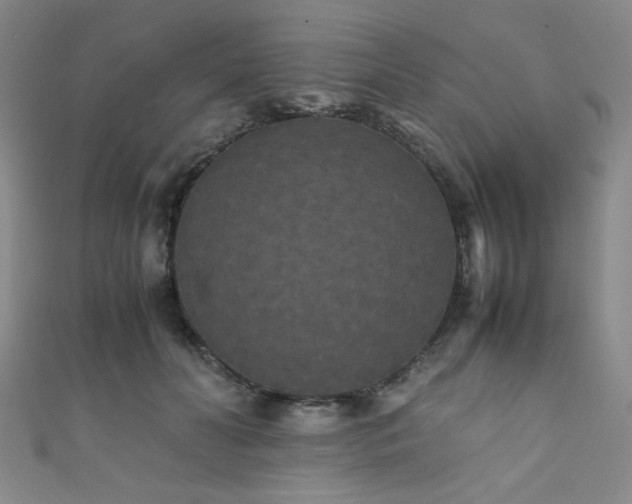 X0000111860606200907231453