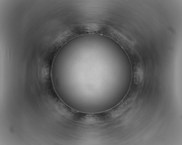X0000111860608200907231453