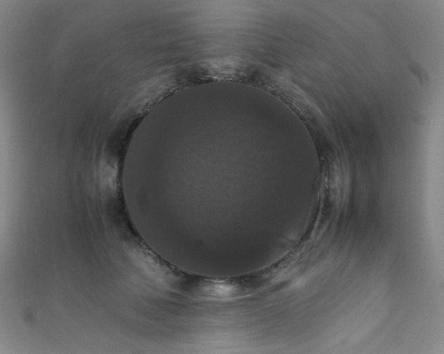 X0000111860610200907231453