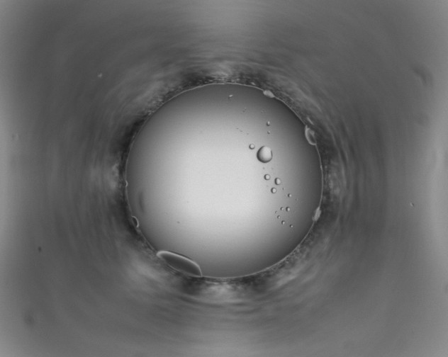 X0000111860611200907231453