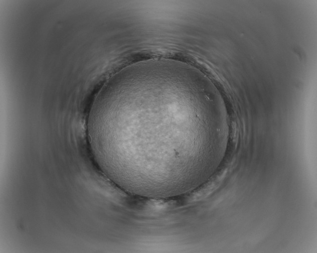 X0000111860613200907231453
