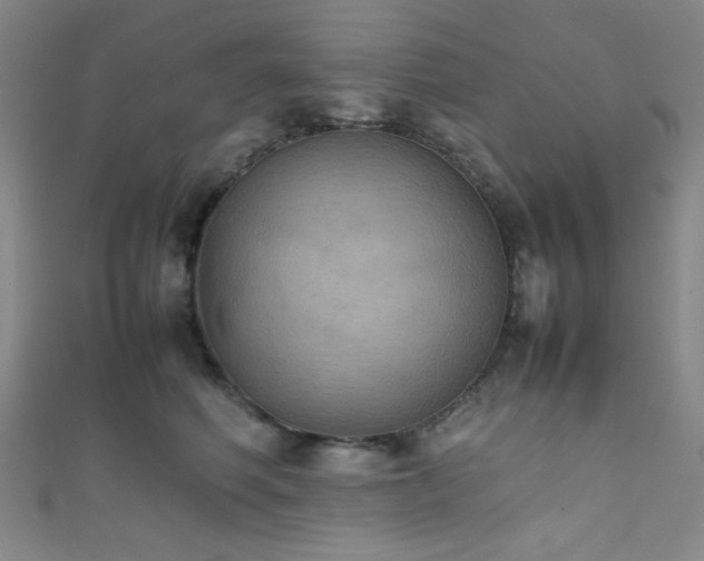 X0000111860614200907231453