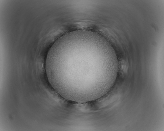 X0000111860615200907231453