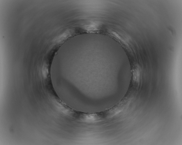 X0000111860618200907231453