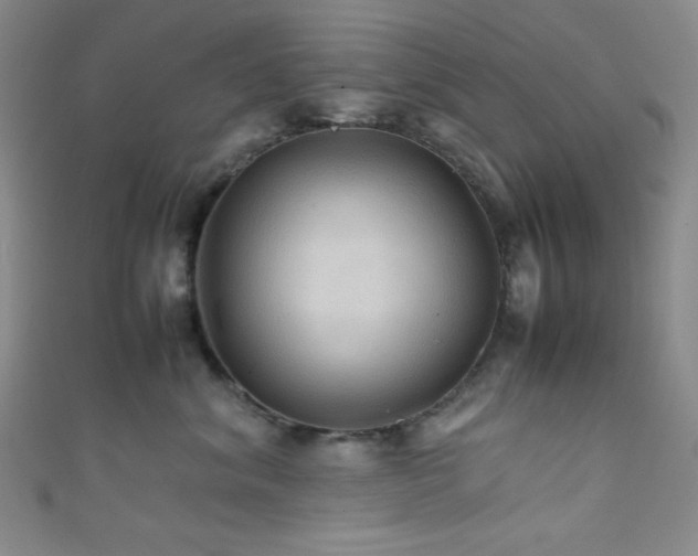 X0000111860620200907231453