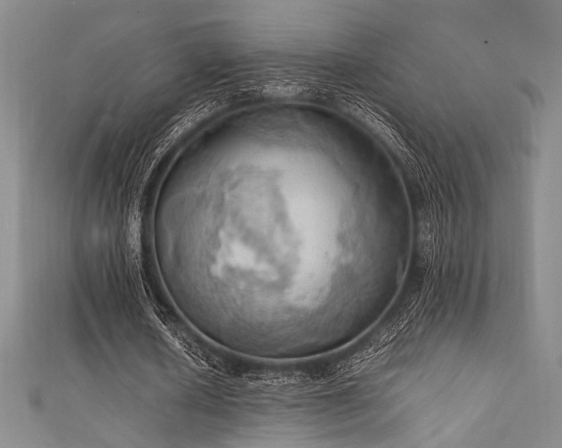 X0000111860626200907231452